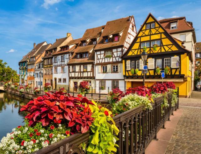 Des Oiseaux Colmar